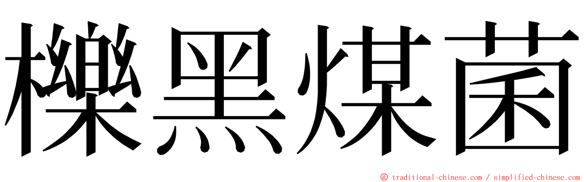 櫟黑煤菌 ming font