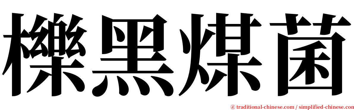 櫟黑煤菌 serif font