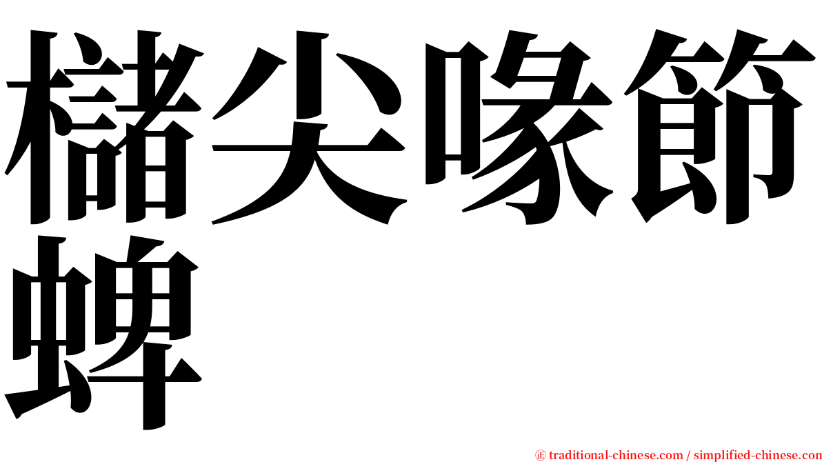 櫧尖喙節蜱 serif font