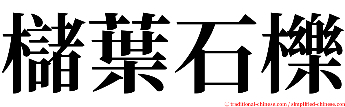 櫧葉石櫟 serif font