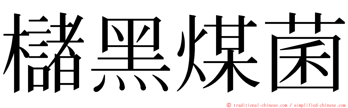 櫧黑煤菌 ming font