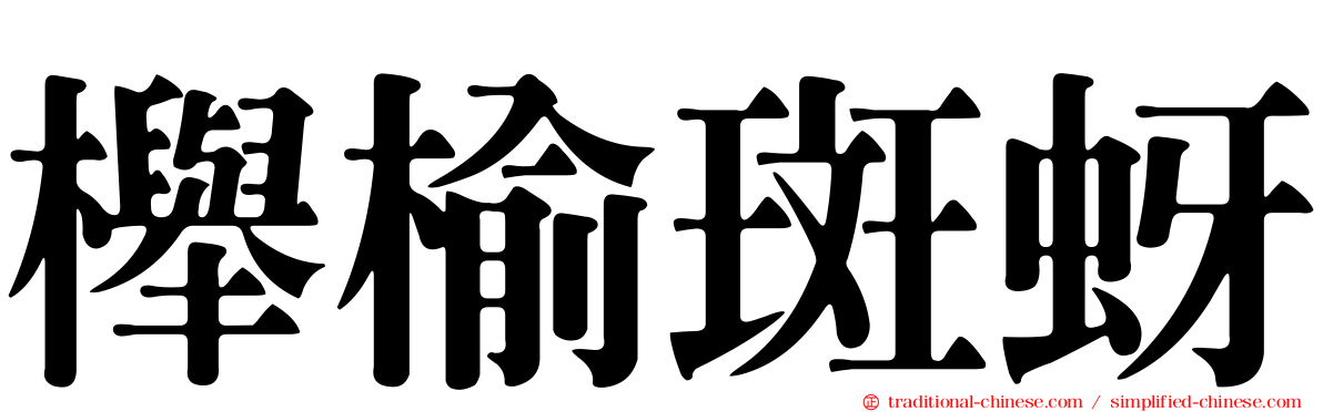 櫸榆斑蚜