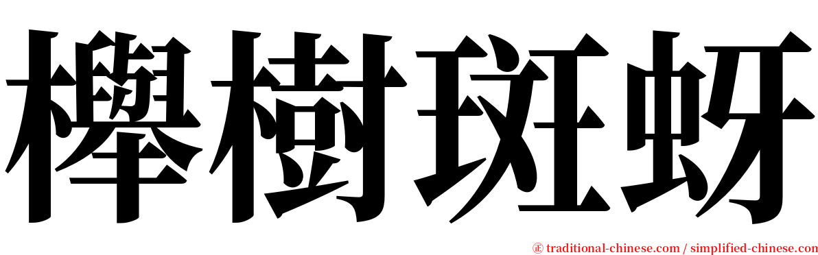 櫸樹斑蚜 serif font