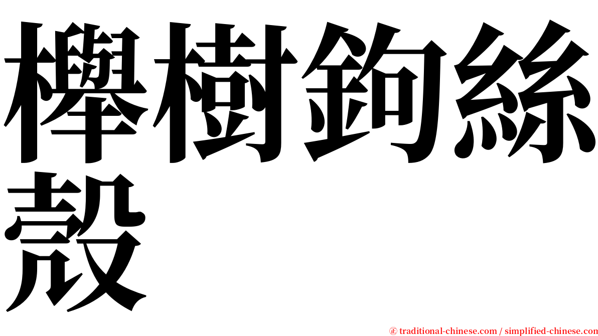 櫸樹鉤絲殼 serif font