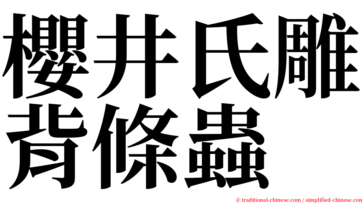 櫻井氏雕背條蟲 serif font