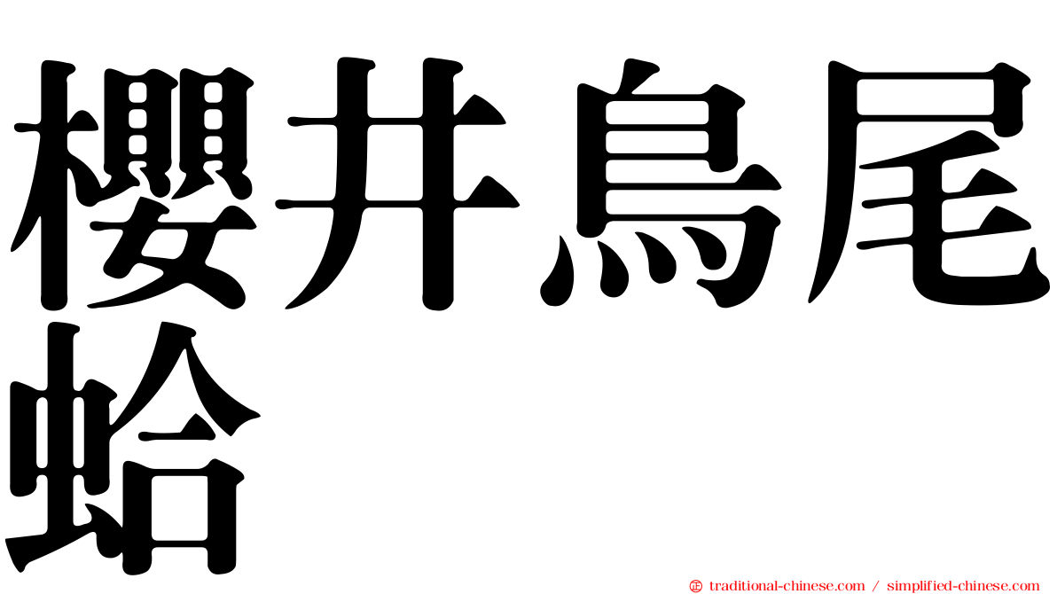 櫻井鳥尾蛤