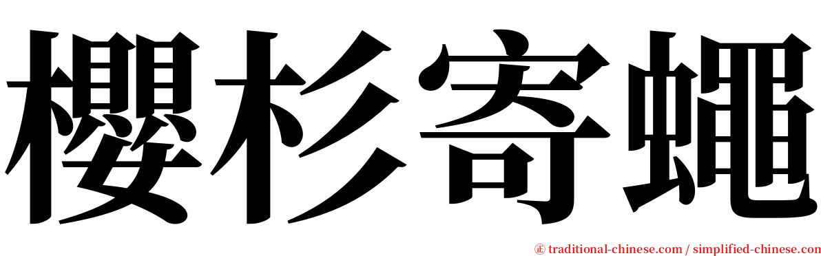 櫻杉寄蠅 serif font