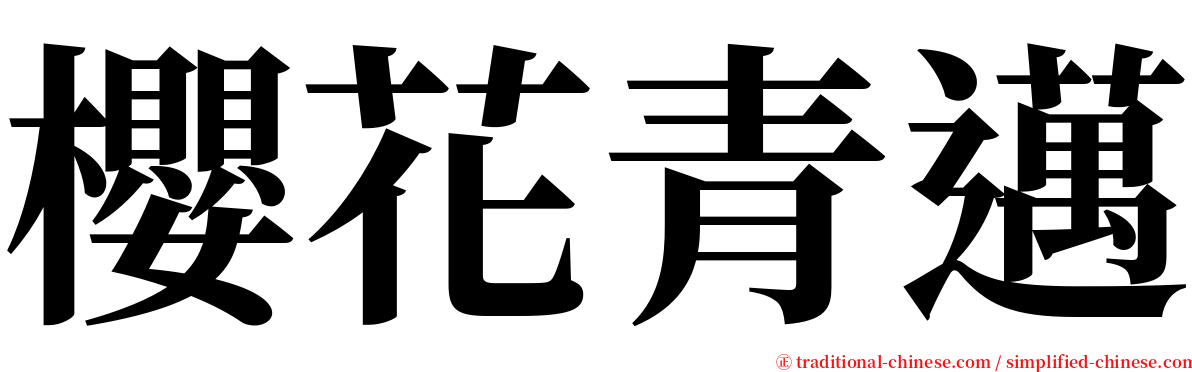 櫻花青邁 serif font