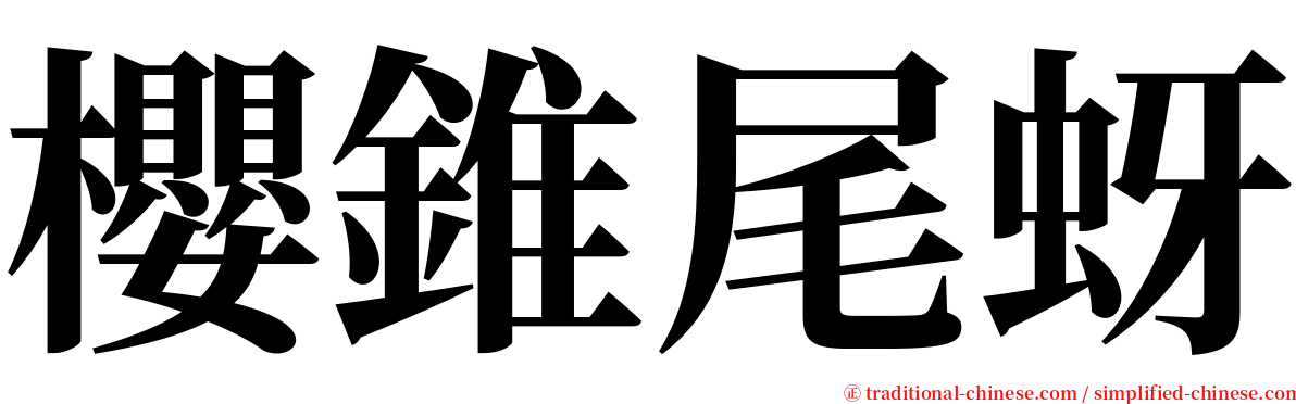 櫻錐尾蚜 serif font