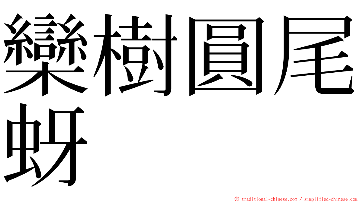 欒樹圓尾蚜 ming font