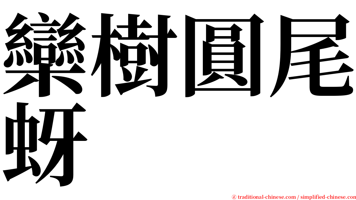 欒樹圓尾蚜 serif font