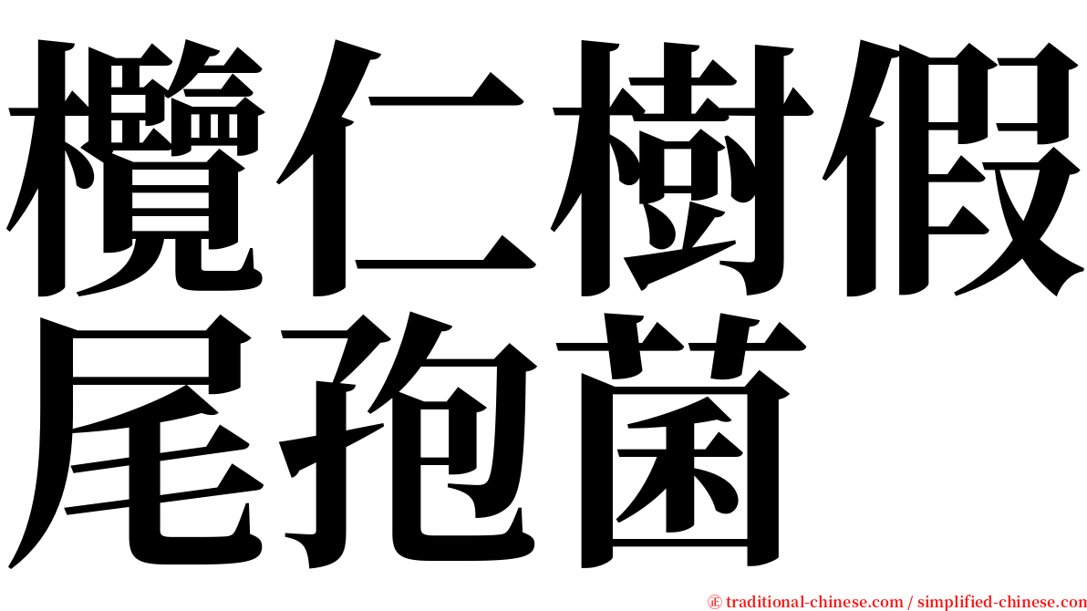 欖仁樹假尾孢菌 serif font