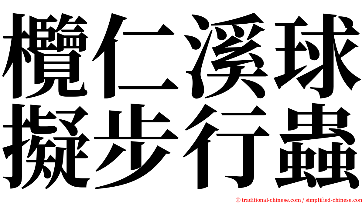 欖仁溪球擬步行蟲 serif font