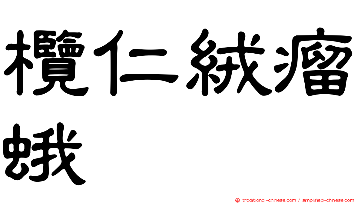 欖仁絨瘤蛾