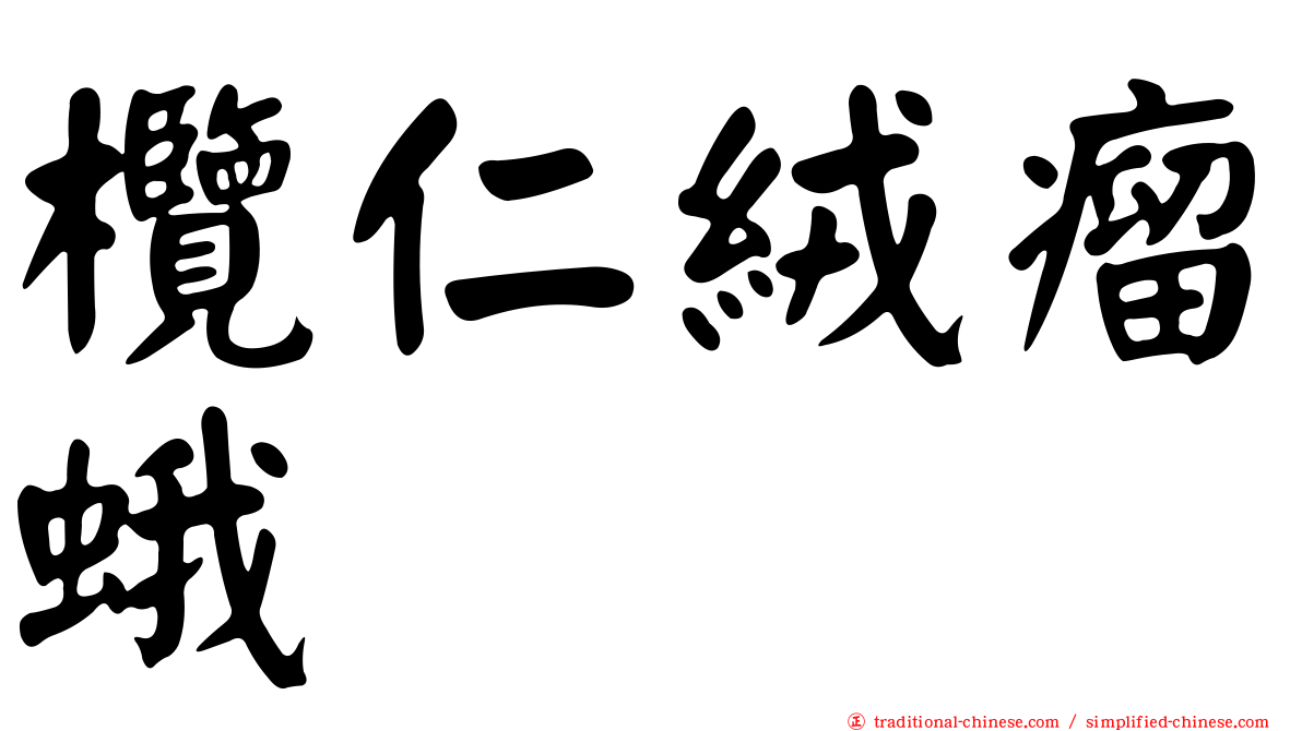 欖仁絨瘤蛾