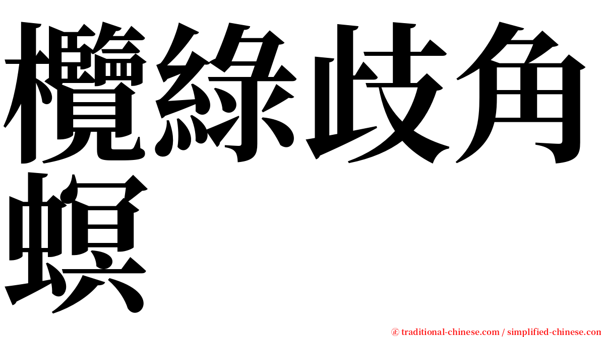 欖綠歧角螟 serif font