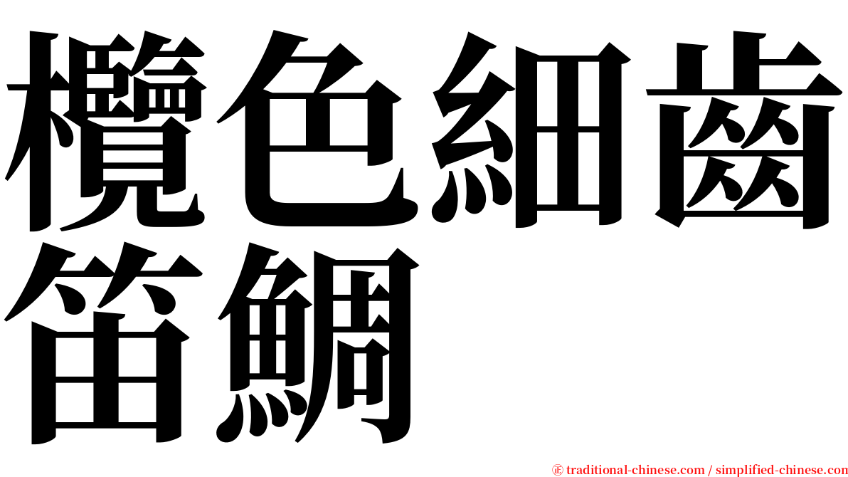 欖色細齒笛鯛 serif font