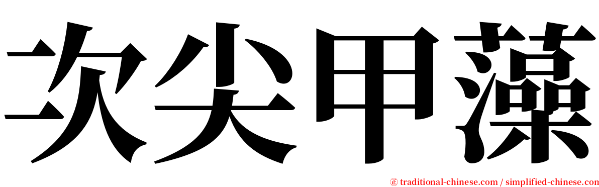 次尖甲藻 serif font