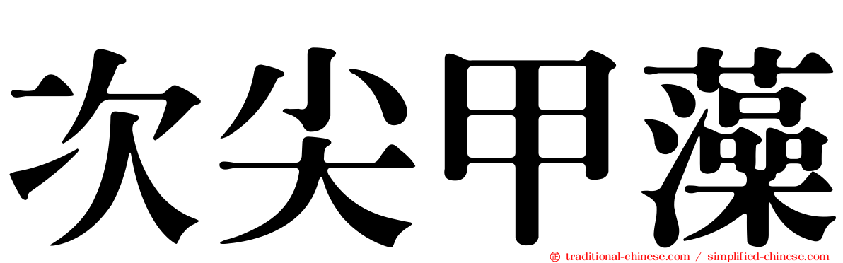 次尖甲藻