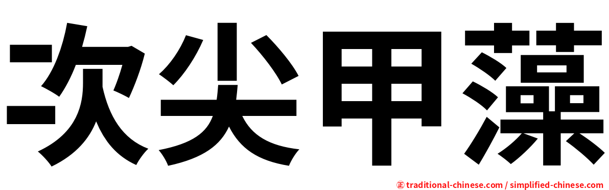 次尖甲藻