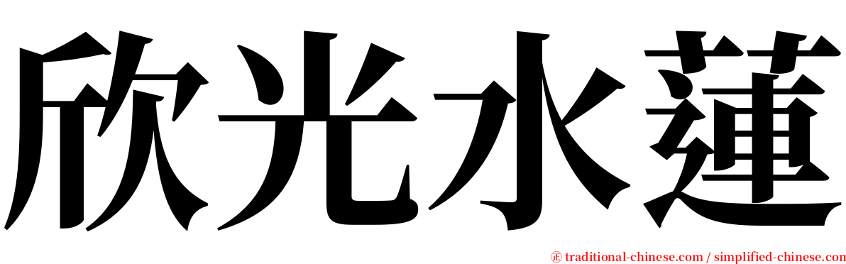 欣光水蓮 serif font