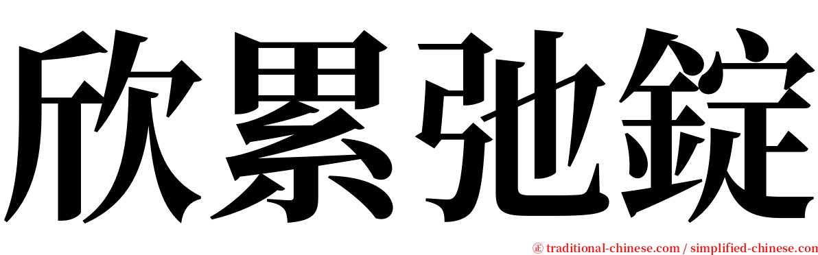 欣累弛錠 serif font