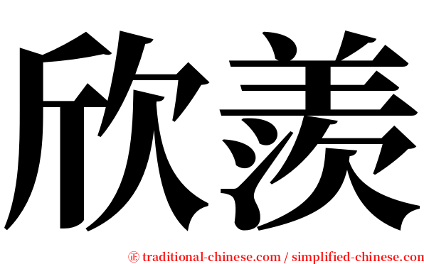 欣羨 serif font