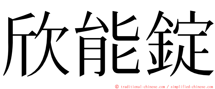 欣能錠 ming font