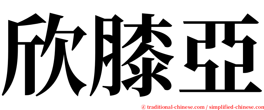 欣膝亞 serif font