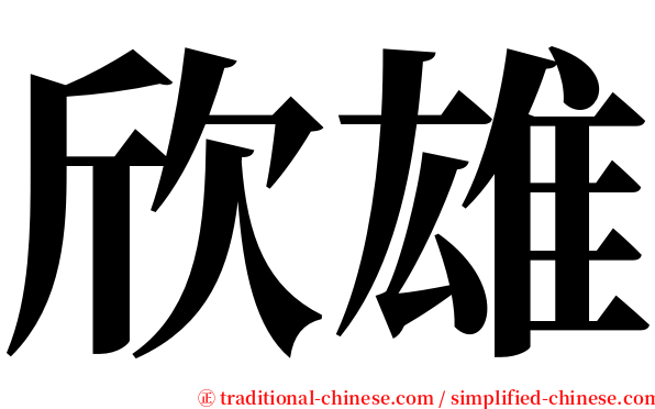 欣雄 serif font