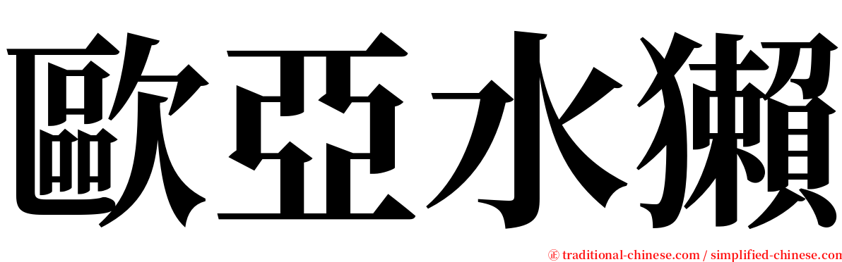 歐亞水獺 serif font