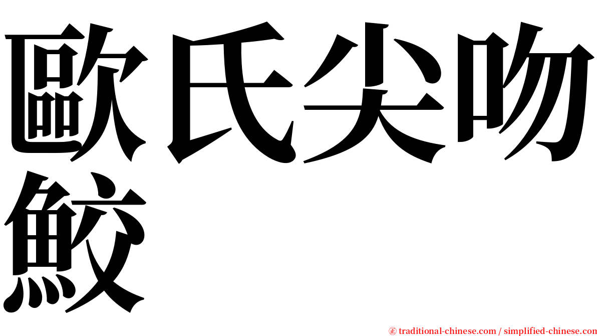 歐氏尖吻鮫 serif font