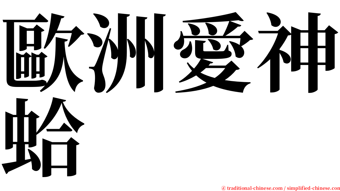 歐洲愛神蛤 serif font