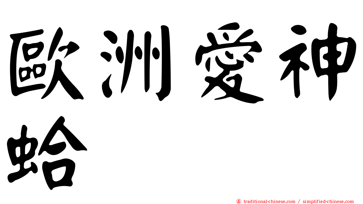 歐洲愛神蛤