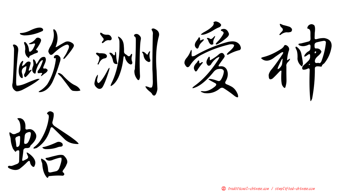 歐洲愛神蛤