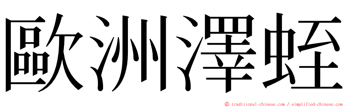 歐洲澤蛭 ming font