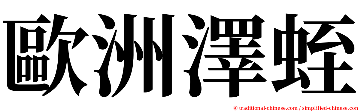 歐洲澤蛭 serif font