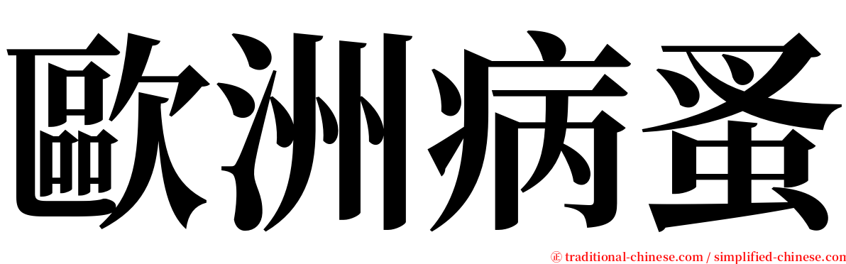 歐洲病蚤 serif font