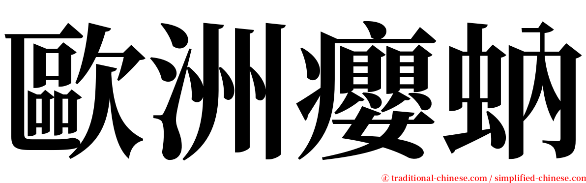 歐洲癭蚋 serif font