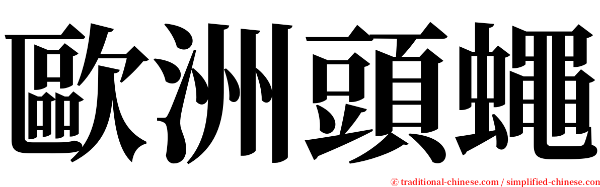 歐洲頭蠅 serif font