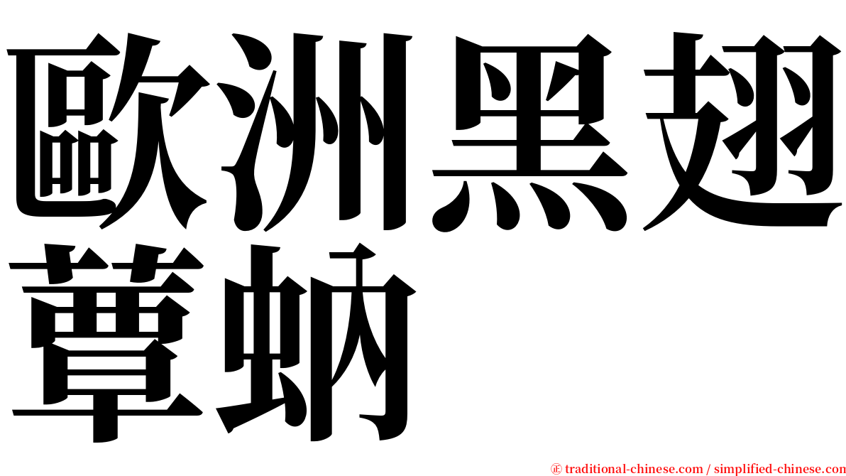 歐洲黑翅蕈蚋 serif font