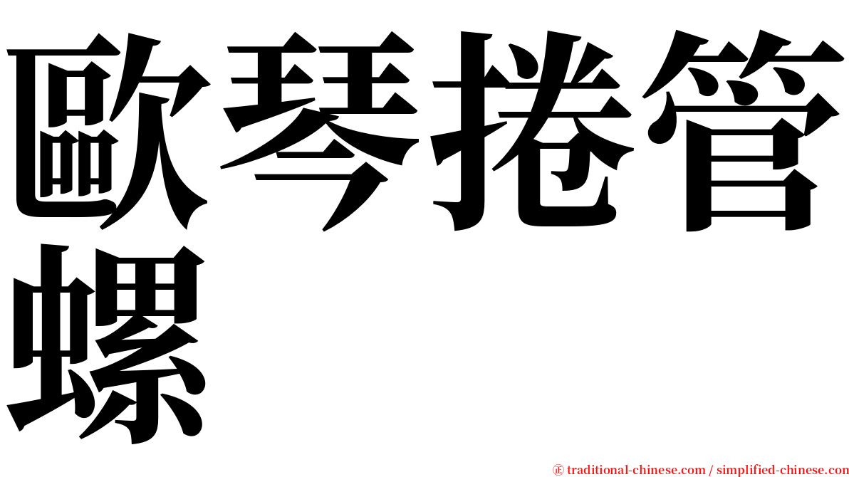 歐琴捲管螺 serif font