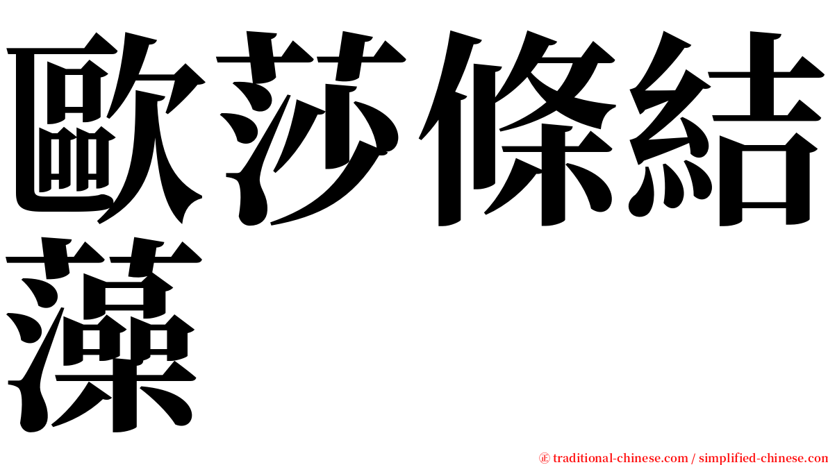 歐莎條結藻 serif font