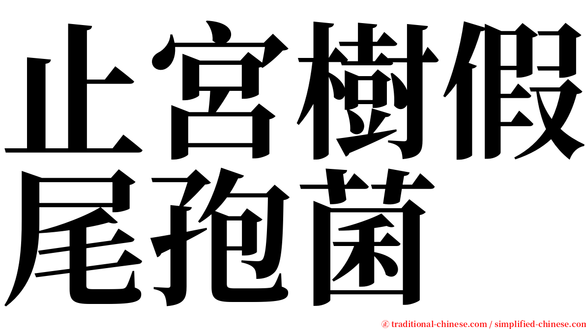 止宮樹假尾孢菌 serif font