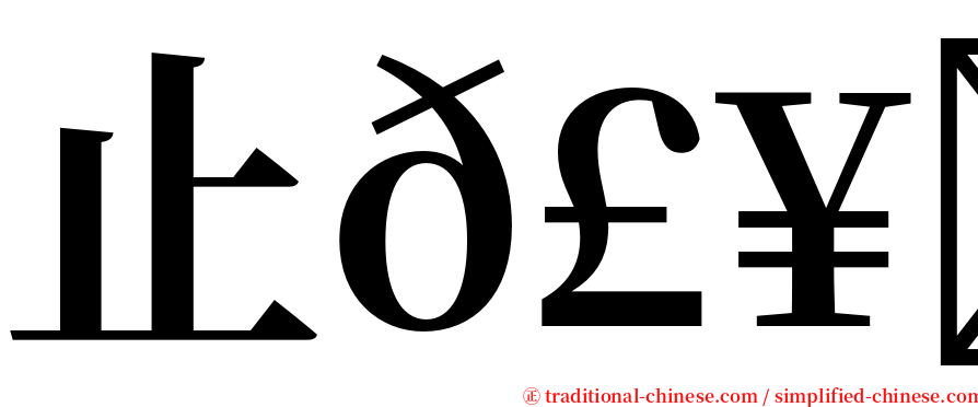止𣥗歮 serif font