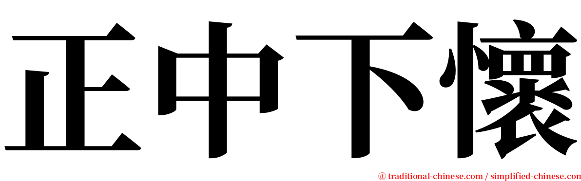 正中下懷 serif font