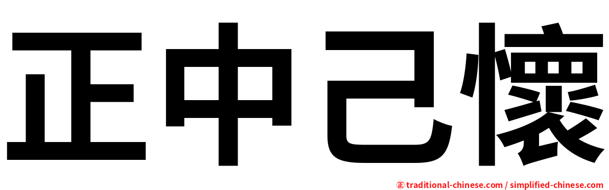 正中己懷