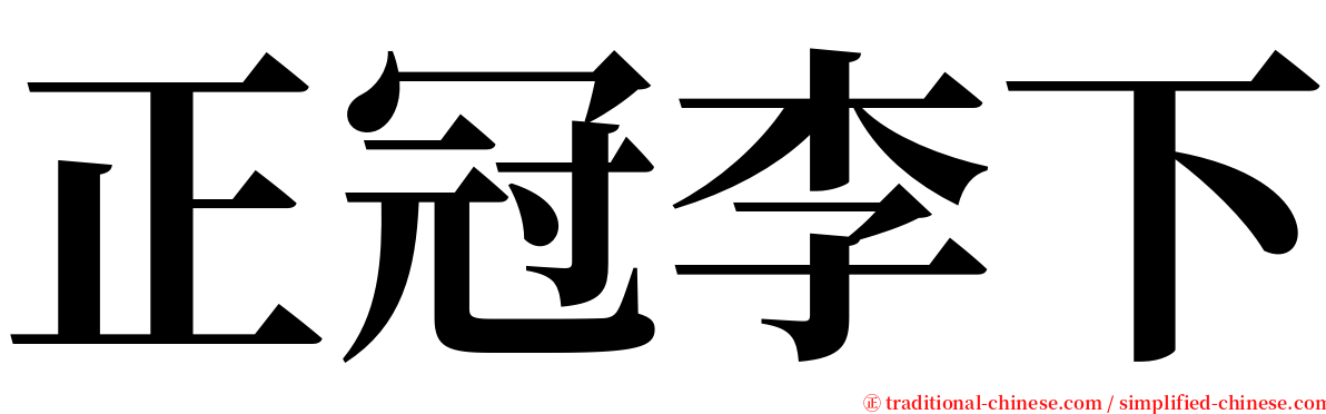 正冠李下 serif font