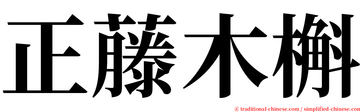 正藤木槲 serif font