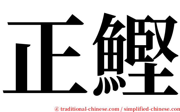 正鰹 serif font